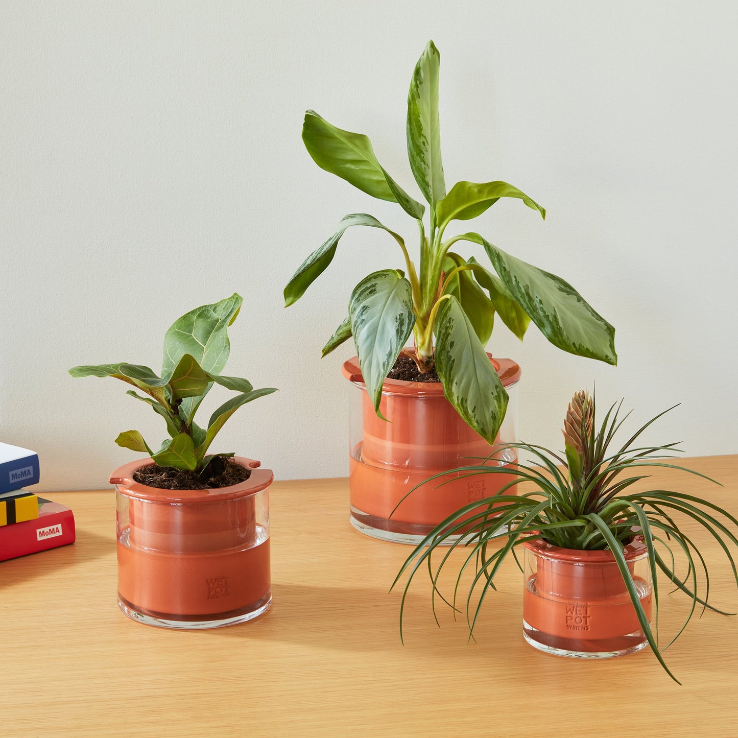 Self-Watering Wet Pot
