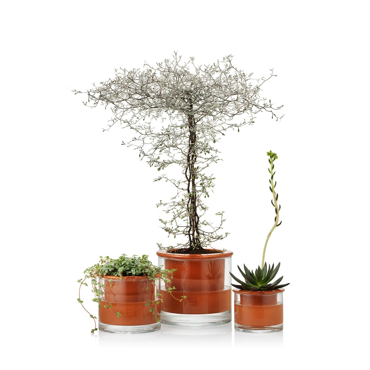 Self-Watering Wet Pot
