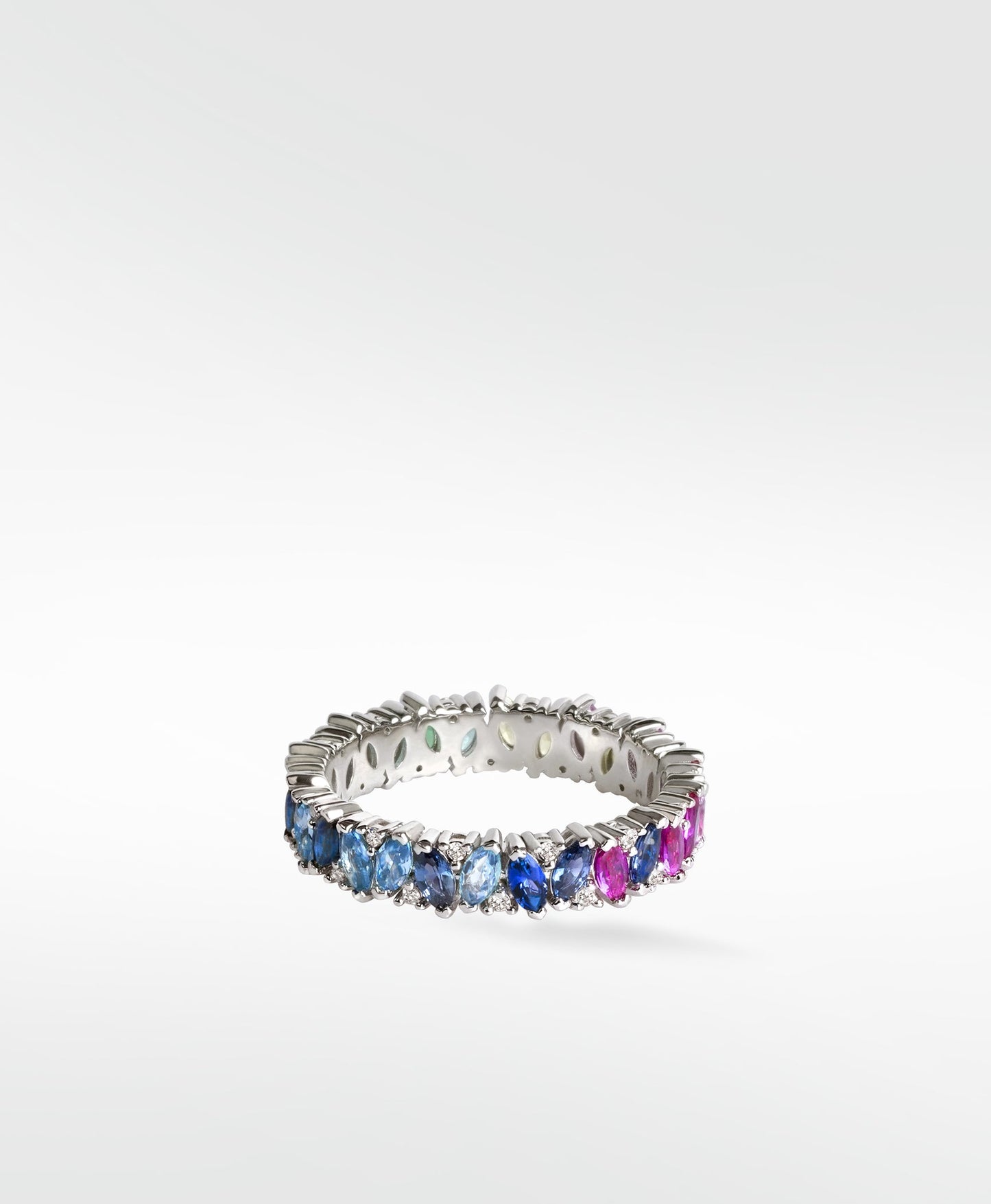 Rainbow Veto Ring