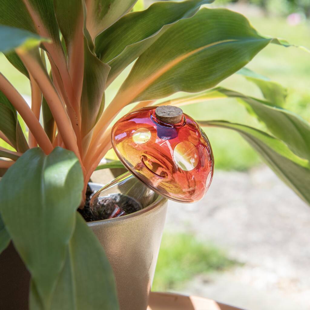 Plant Watering Glass Mushroom