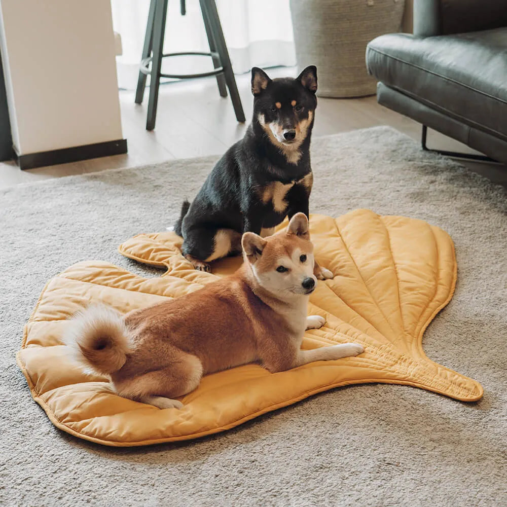 Calming Leaf-Shape Pet Blanket