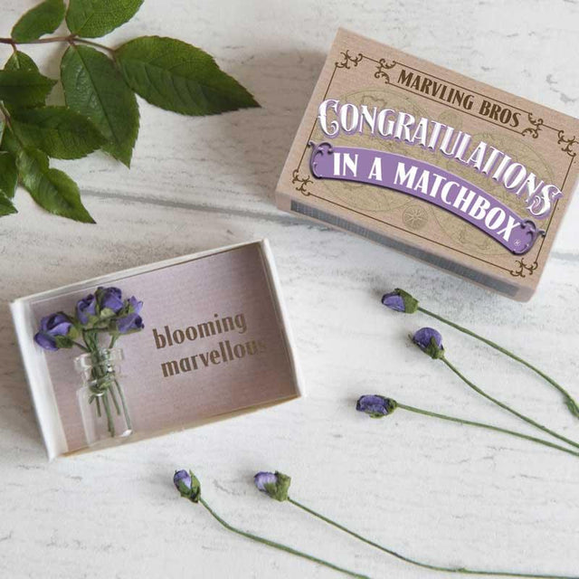 Matchbox: Congratulations